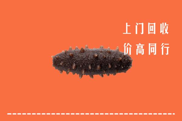 高价求购：石家庄市回收海参