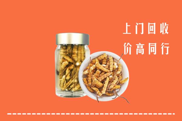 石家庄市回收冬虫夏草