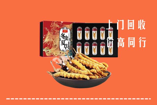 石家庄市回收虫草